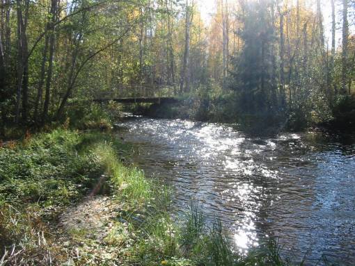 Lakojoen Myllykoski.